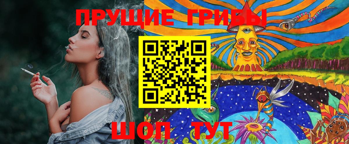 Губкин  Галлюциногенные грибы MAGIC MUSHROOMS  Псилоцибиновые грибы Cubensis  Вход с VPN 